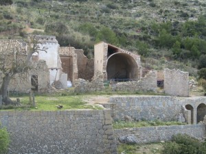 IMG_5052 (Medium)